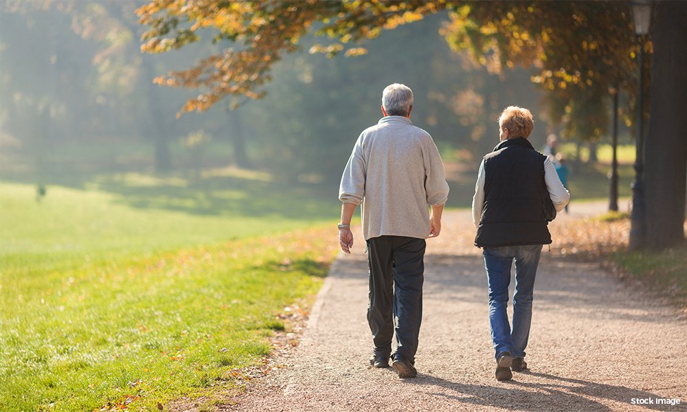 Tree-lined walking and jogging trails